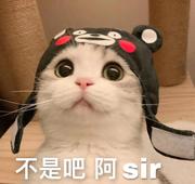 虾饺饺的个人资料头像