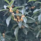 无币一生清头像