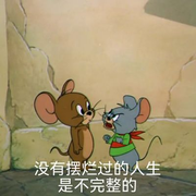 吹吹风放放空的个人资料头像