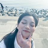 橘色11头像