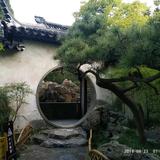 风雨无阻头像