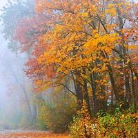 用户8126156009931头像