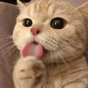 绮户的个人资料头像