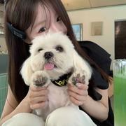 干嘛骗我的个人资料头像