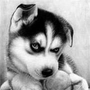 拾二661的个人资料头像