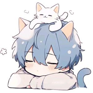 猫哥不是橙头像