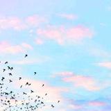 情深深雨蒙蒙223453344头像