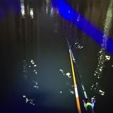 完美星辰wOW头像