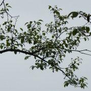 iSammyLan的个人资料头像