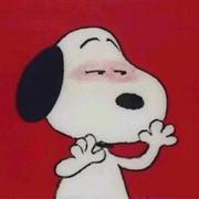 益巾凡的个人资料头像