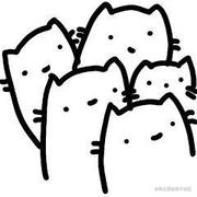 选择恐惧症的个人资料头像