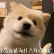 徐志斌_Binx的个人资料头像