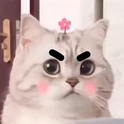 雨下整夜375的个人资料头像