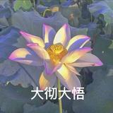 把世界种满香菜头像