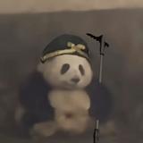 猪八花o头像