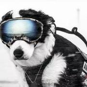 快秃头的我的个人资料头像