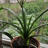 用户1439155812835头像