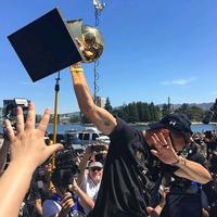 花丛深处觅食的蜂蝶头像