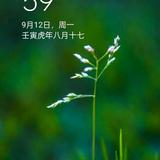 喜欢吃饼的少年头像