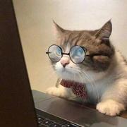 遇_见的个人资料头像