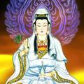 张凯108325981头像