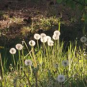 Q_Qt的个人资料头像