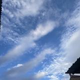 淡泊阿峰视频头像