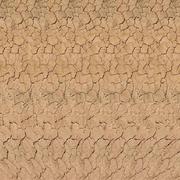 兵临城下993的个人资料头像