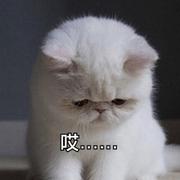 吴一周的个人资料头像