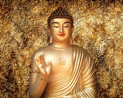 艾利金德的个人资料头像