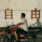 墙上的向日葵_的个人资料头像