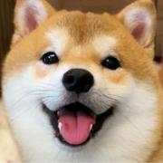 陈海湖的个人资料头像