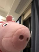 围墙w的个人资料头像