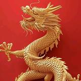 华华哥321头像