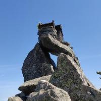 秦岭终南山隐士头像