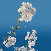 那些年642的个人资料头像