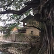 大胡建琯溪头像
