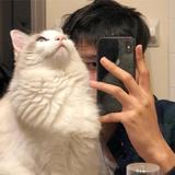 酷酷的然.头像