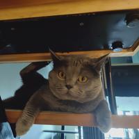 猫猫说影视1头像