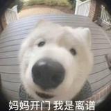离谱到家了886头像