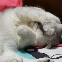 yu做一个梦给你头像