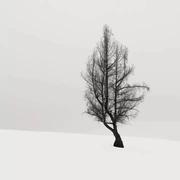 桃子413的个人资料头像