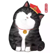 小贝chris的个人资料头像