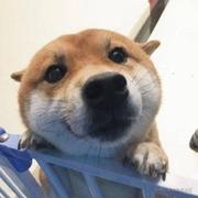 hello9geg的个人资料头像