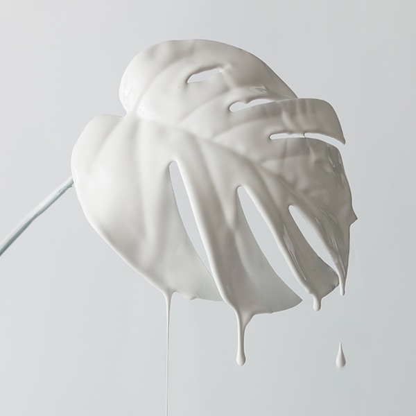 创意阜新1b6头像