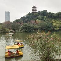 幸福就在左右675头像