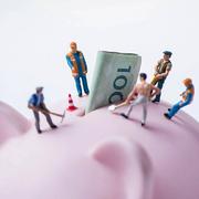 dong595的个人资料头像