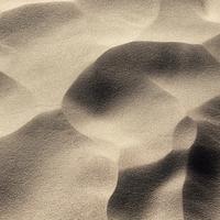 自信哈德利6X2头像