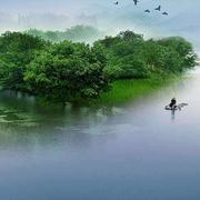 adobe1992的个人资料头像