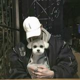 重温268头像